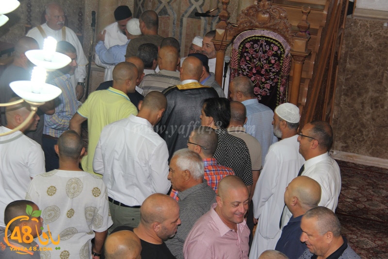 3ed ad7a mahmoudaia (25).JPG